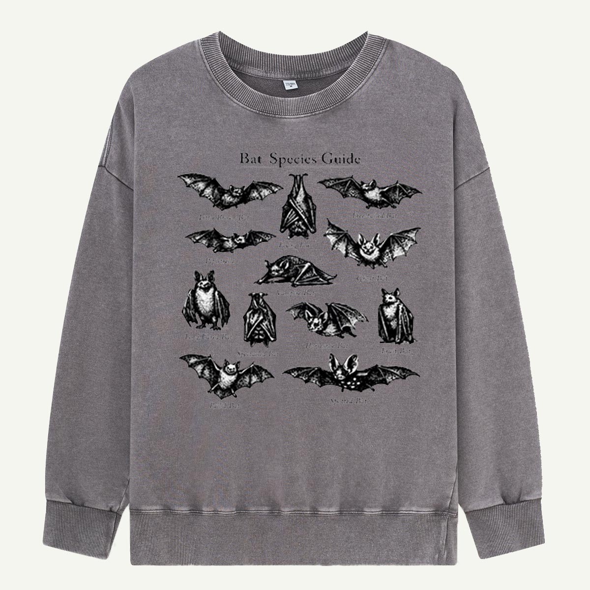 Bat Species Guide Illustration Washed Sweatshirts