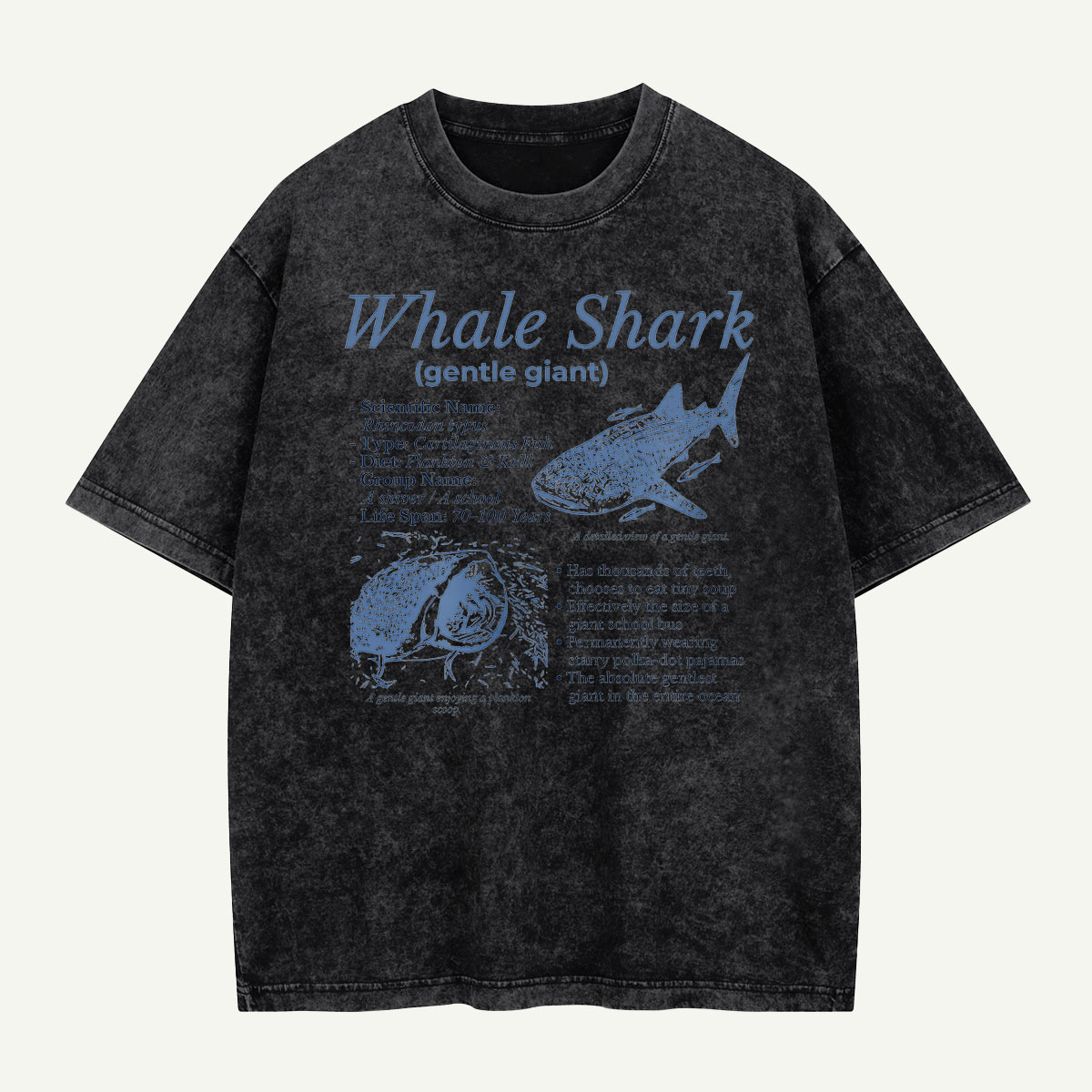 Meet the Gentle Giant Whale Shark Washed T-Shirt