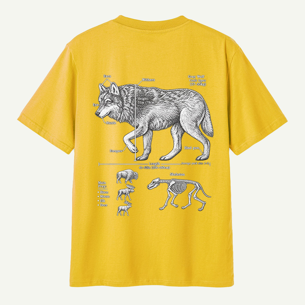 Wolf C Lupus Anatomy Diagram T-Shirt