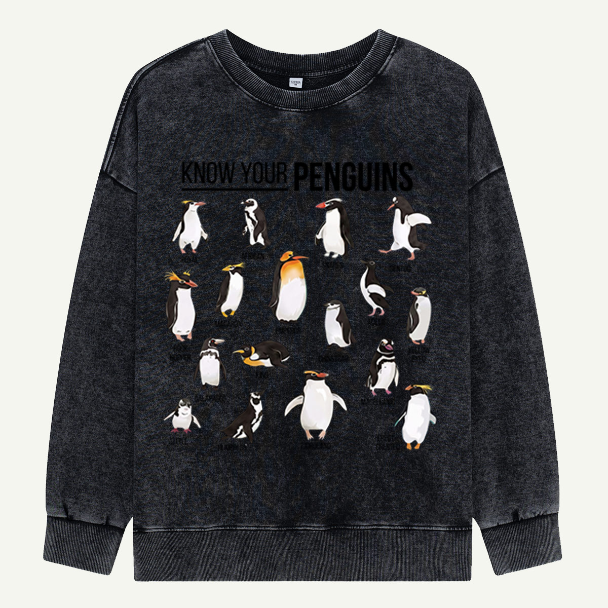 Know Your Penguins Washed Sweatshirts