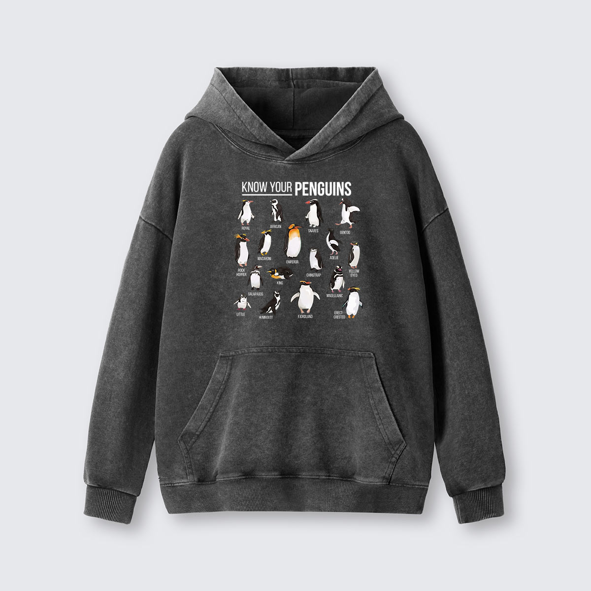 Know Your Penguins Washed Hoodie