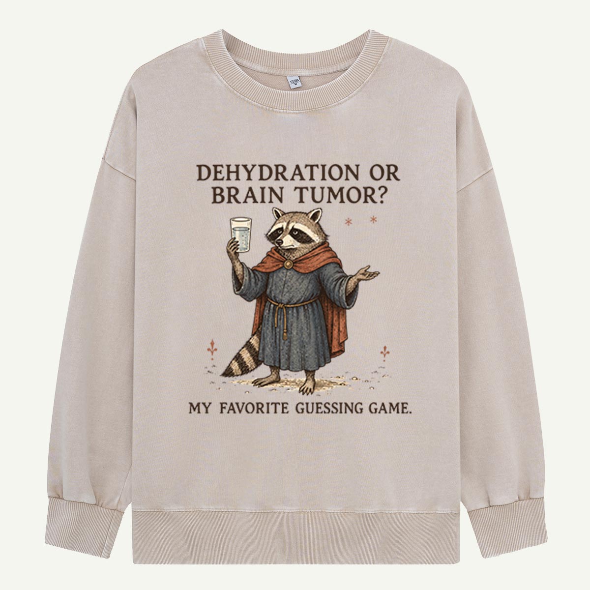 Raccoon’s Questionable Guessing Game Washed Sweatshirts