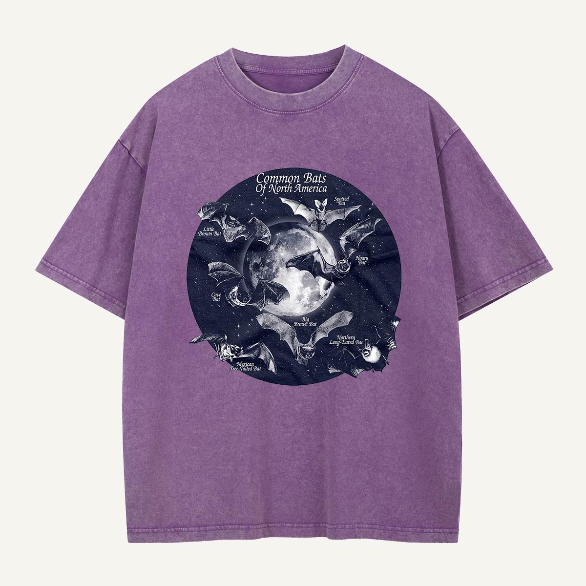 Bats of North America After Dark Washed T-Shirt