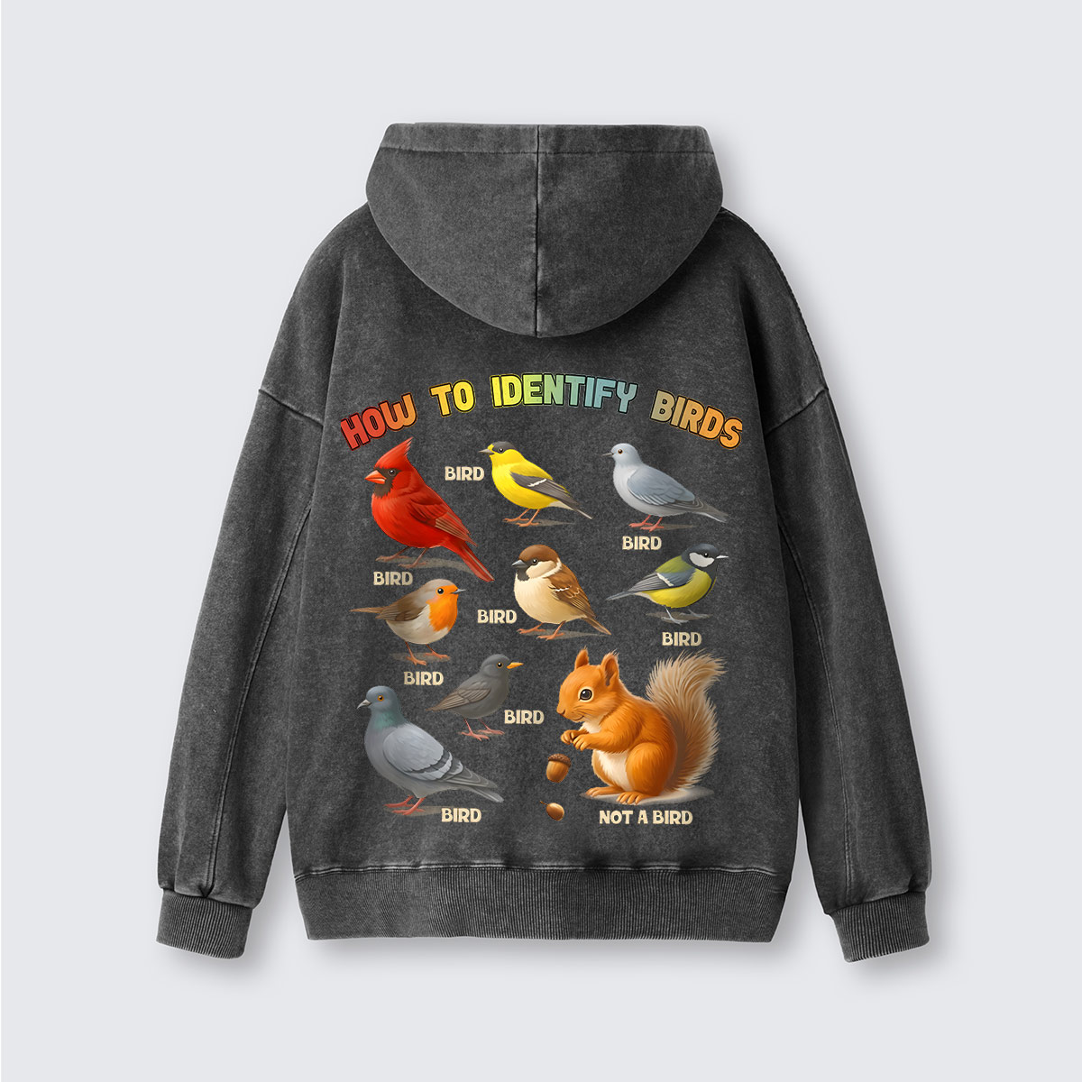 How to Identify Birds Washed Hoodie