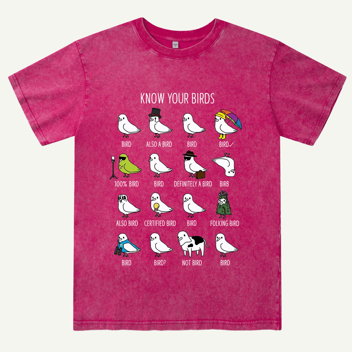 Know Your Birds Bird Chart Washed T-Shirt