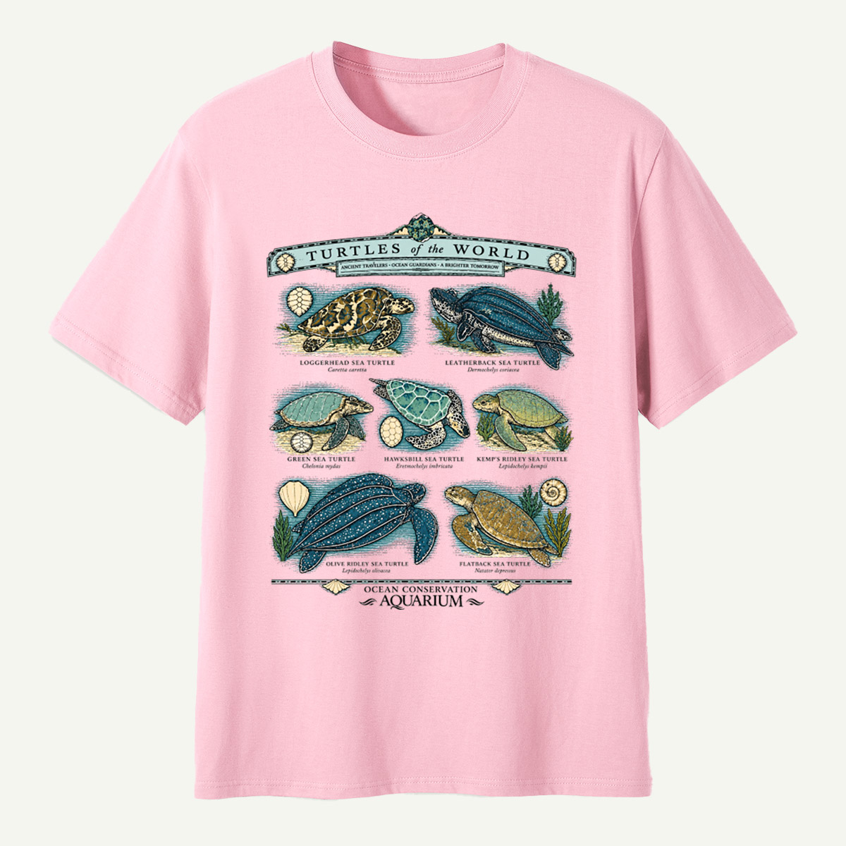 Turtles Of The World Ocean Conservation Field Guide T-Shirt