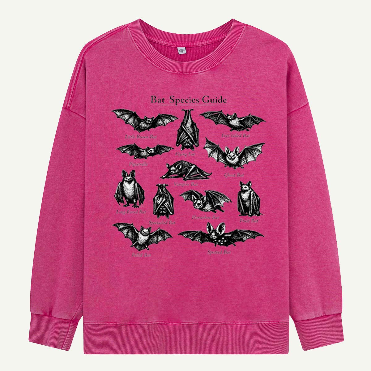 Bat Species Guide Illustration Washed Sweatshirts
