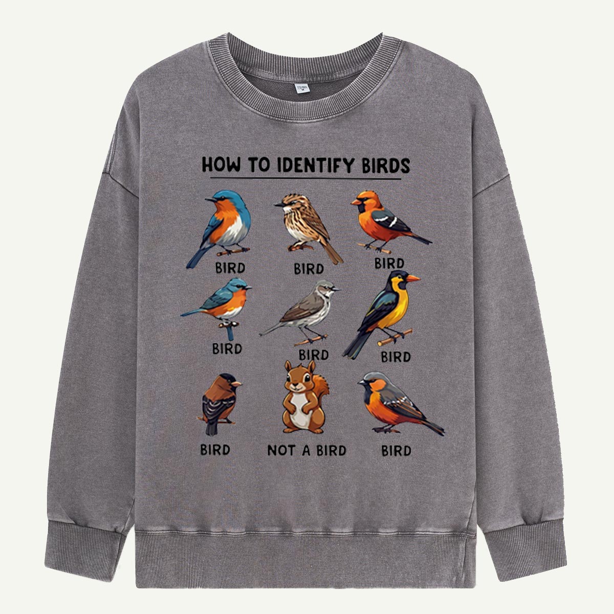 Funny Bird How to Identify Birds Washed Sweatshirts