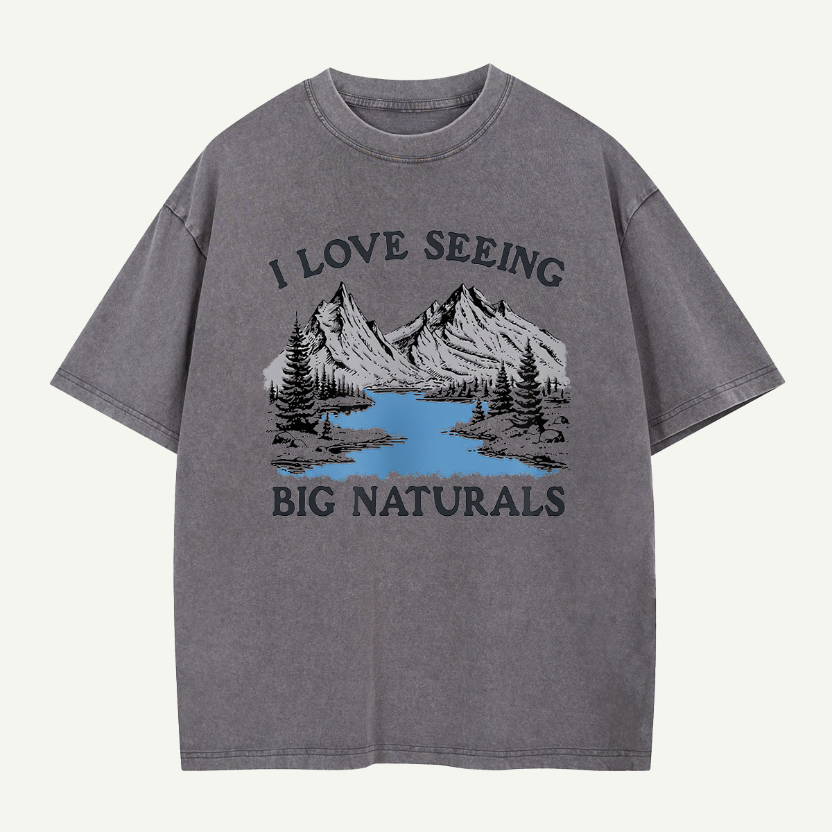 Big Naturals Mountain View Washed T-Shirt