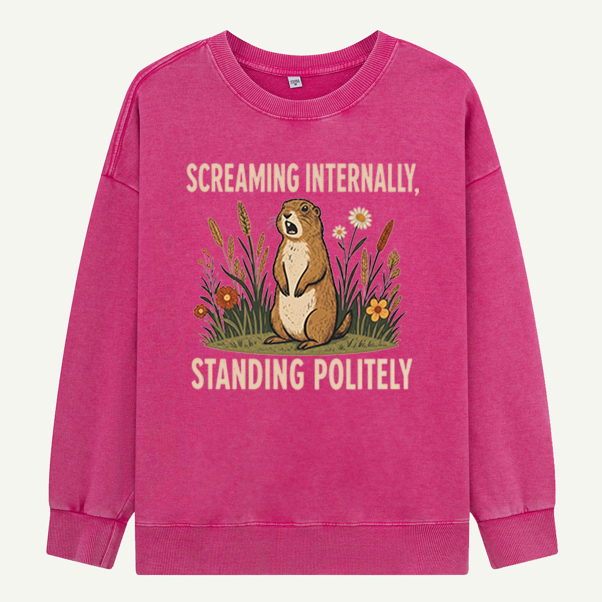 Screaming Internally, Standing Politely Washed Sweatshirts