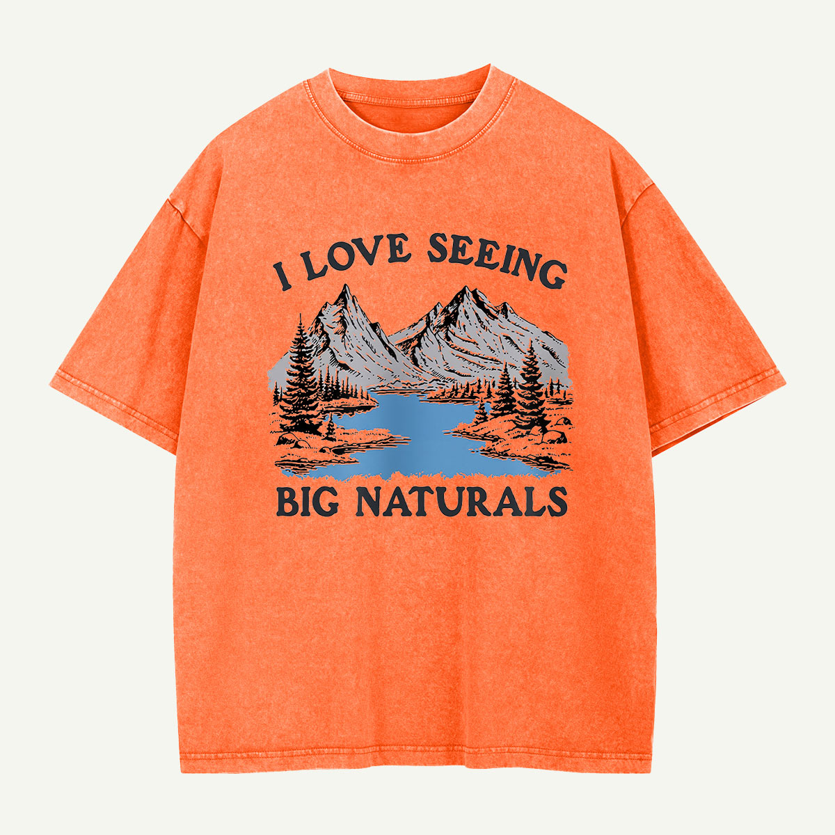Big Naturals Mountain View Washed T-Shirt