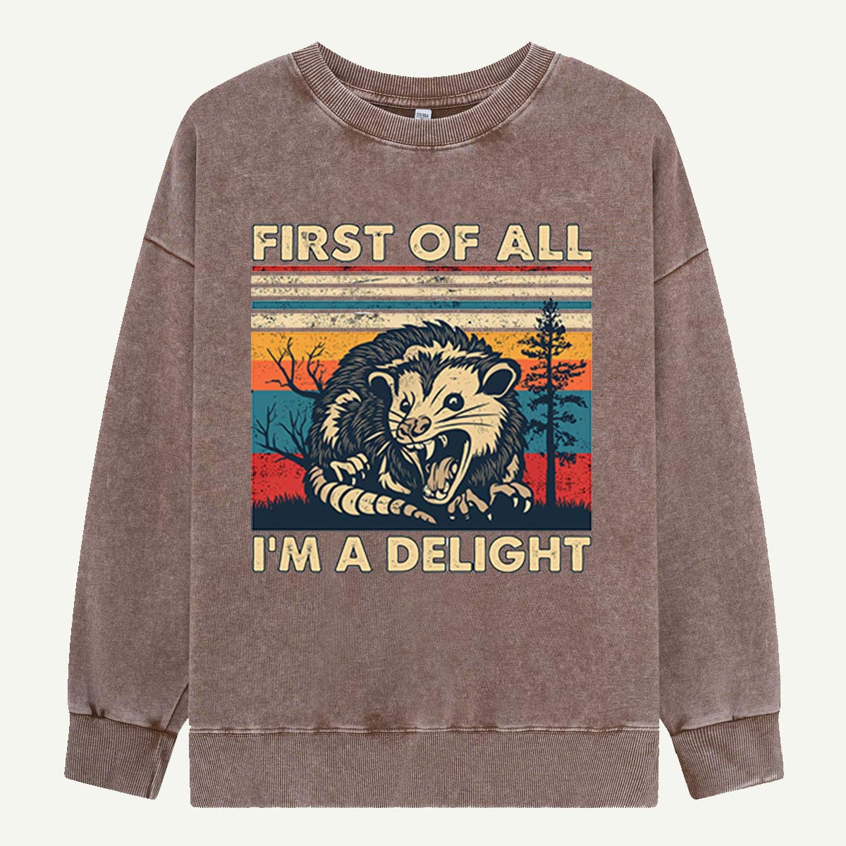 First of All I’m a Delight Opossum  Washed Sweatshirts