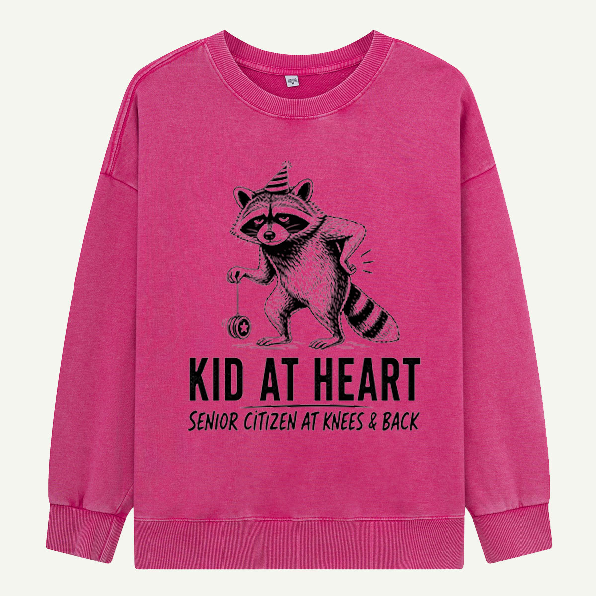 Kid at Heart Raccoon Club Washed Sweatshirts