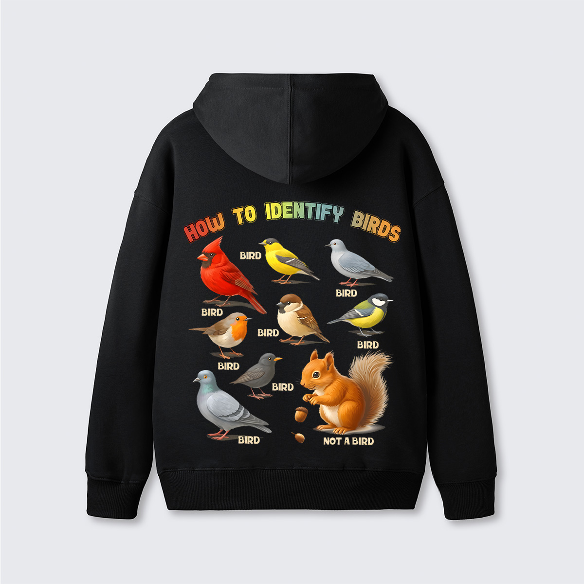 How to Identify Birds Hoodie