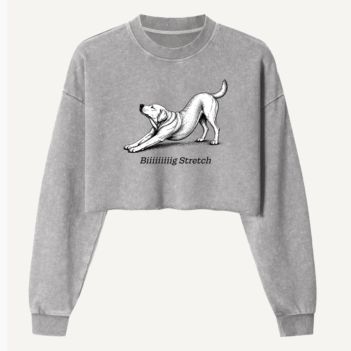 Downward Dog Stretching Hound Women's Washed Cropped Sweatshirt