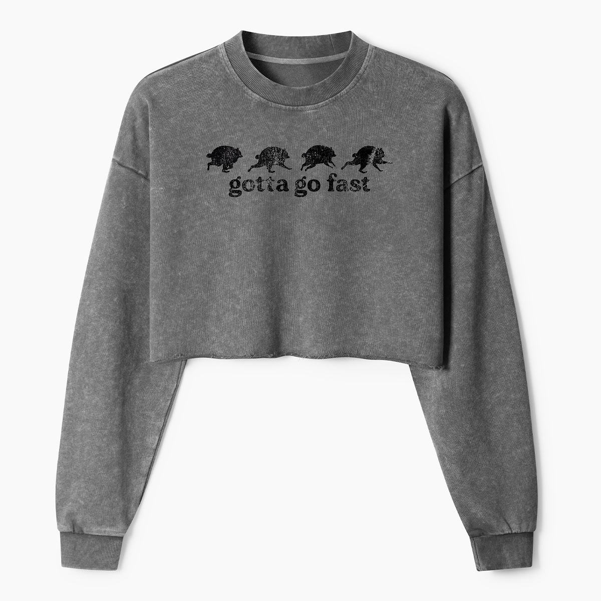 Gotta Go Fast Armadillo Parade Women's Washed Cropped Sweatshirt