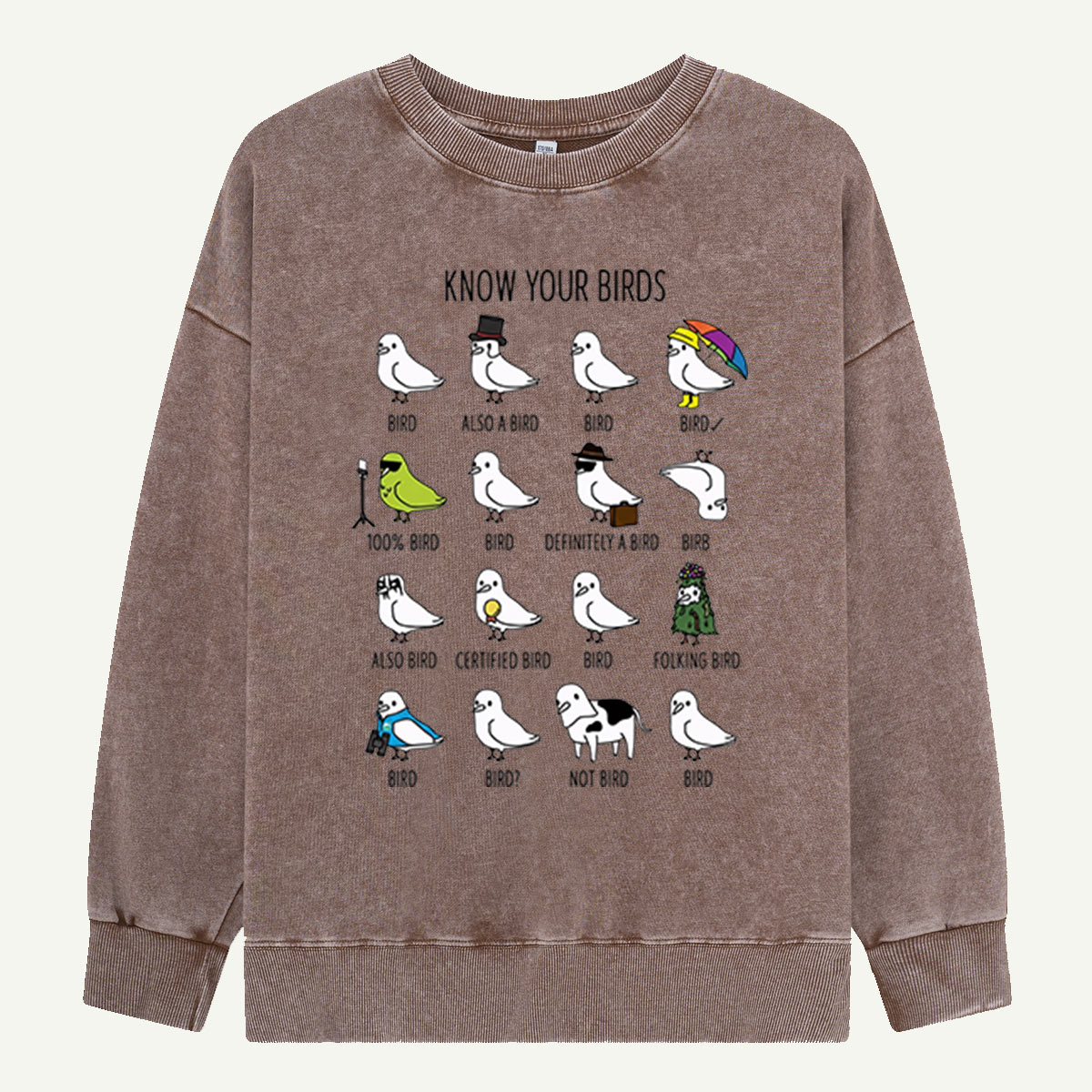 Know Your Birds Bird Chart Washed Sweatshirts