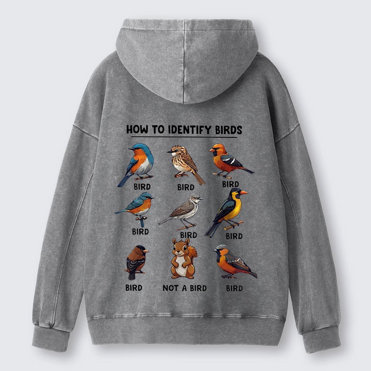 Funny Bird How to Identify Birds Washed Hoodie