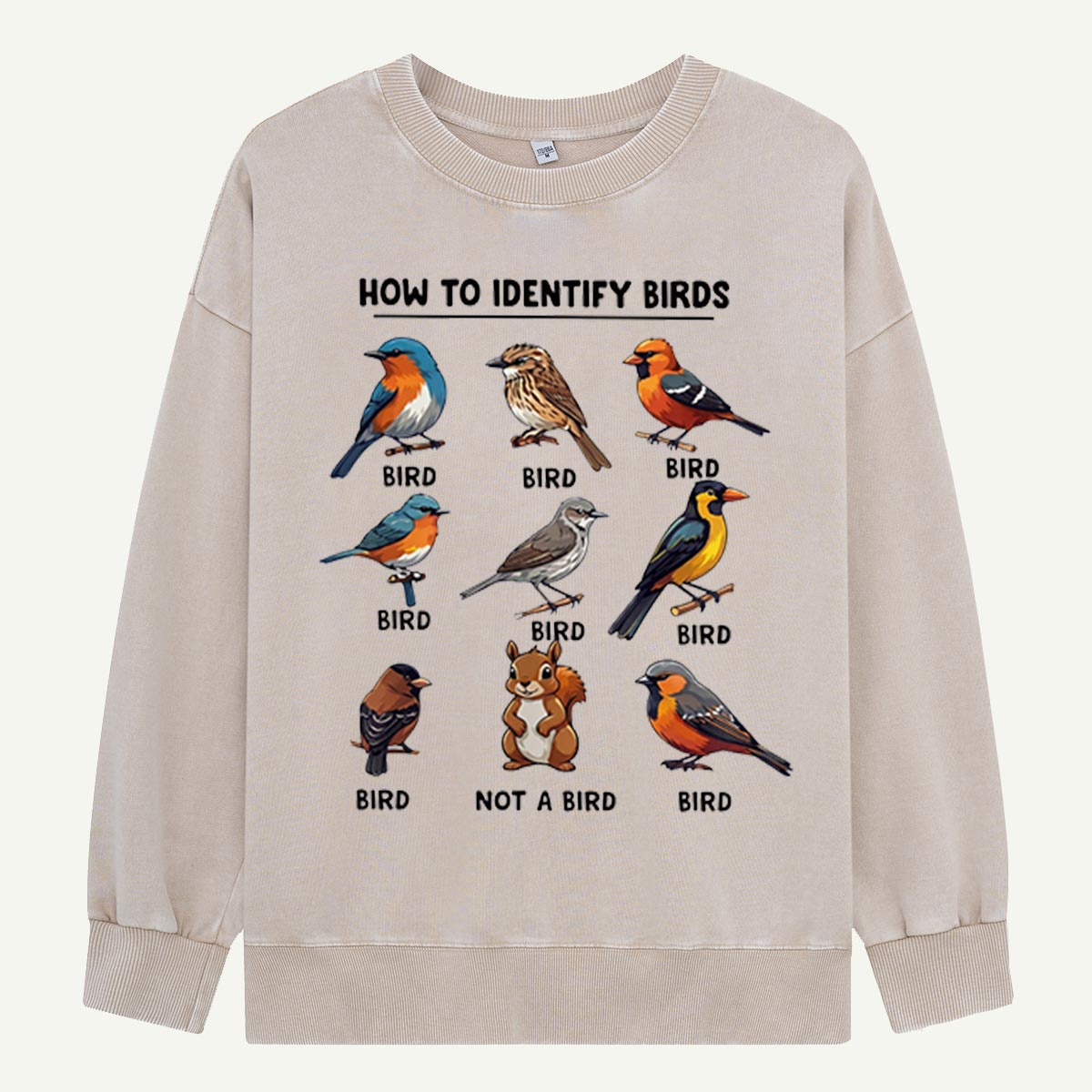 Funny Bird How to Identify Birds Washed Sweatshirts