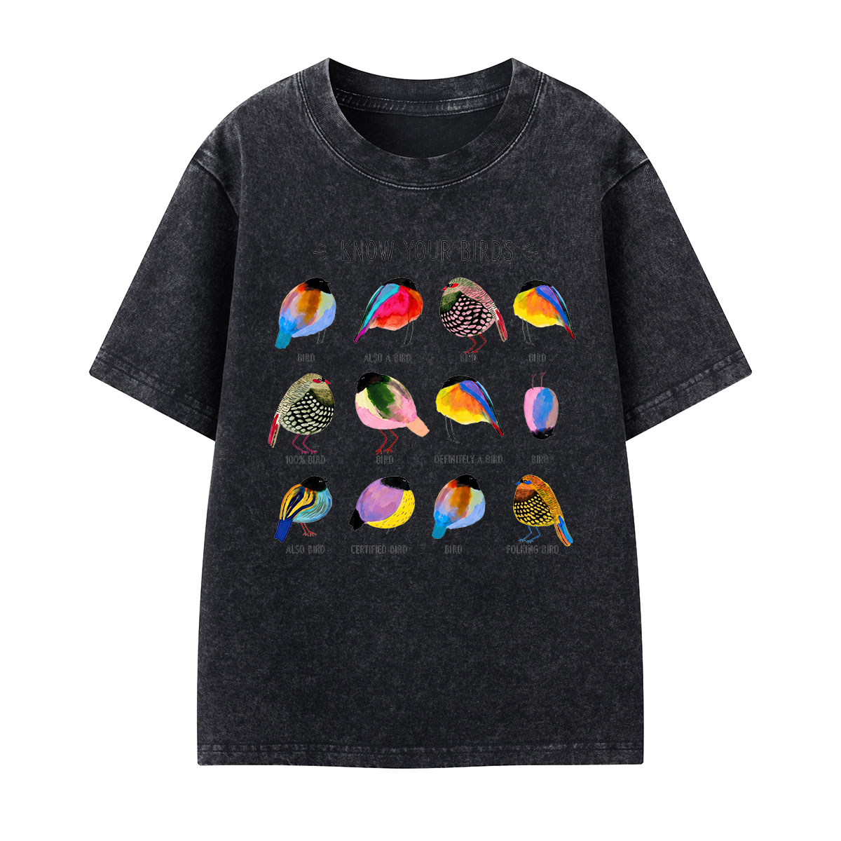 Colorful Bird Guide Kids Washed T-Shirt