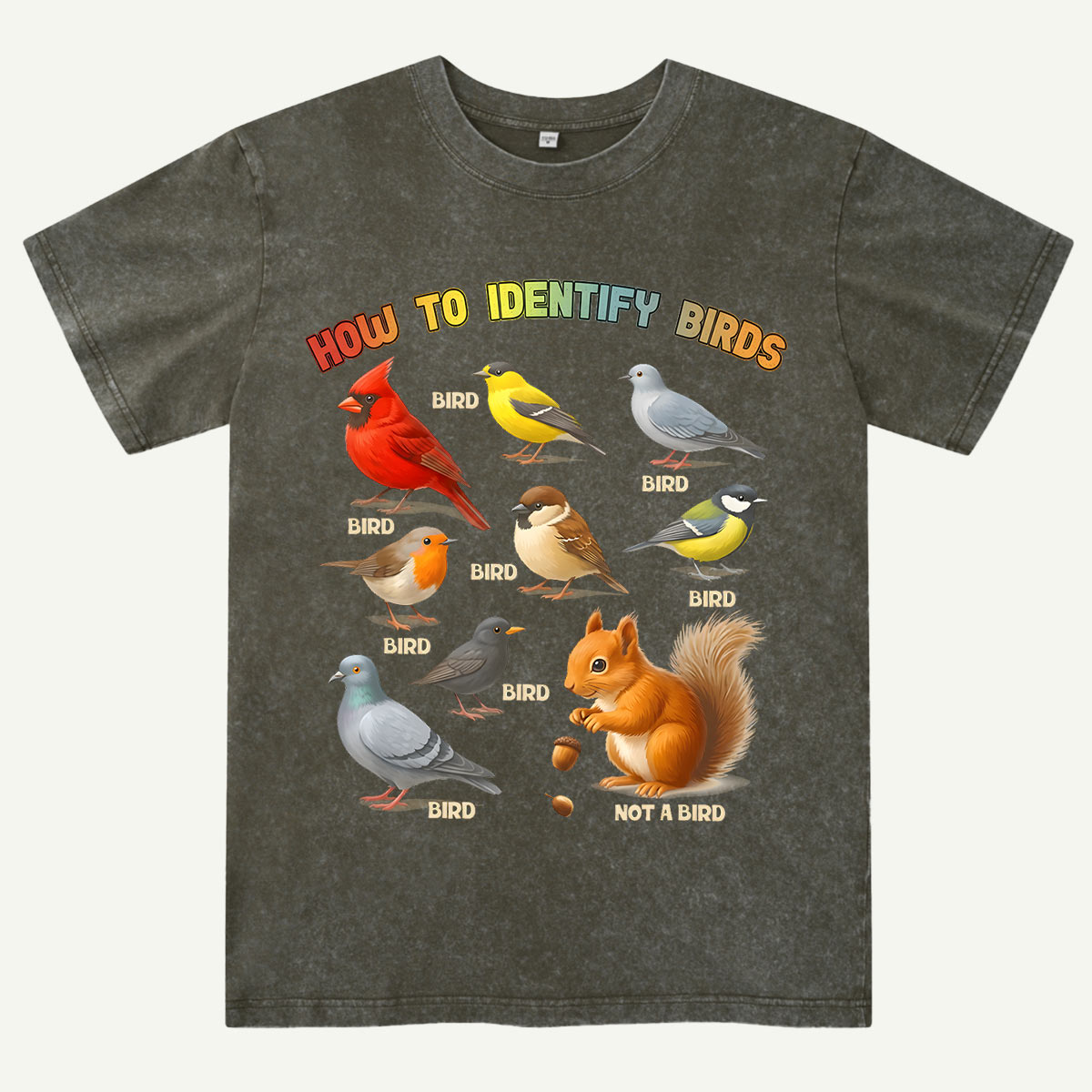 How to Identify Birds Washed T-Shirt