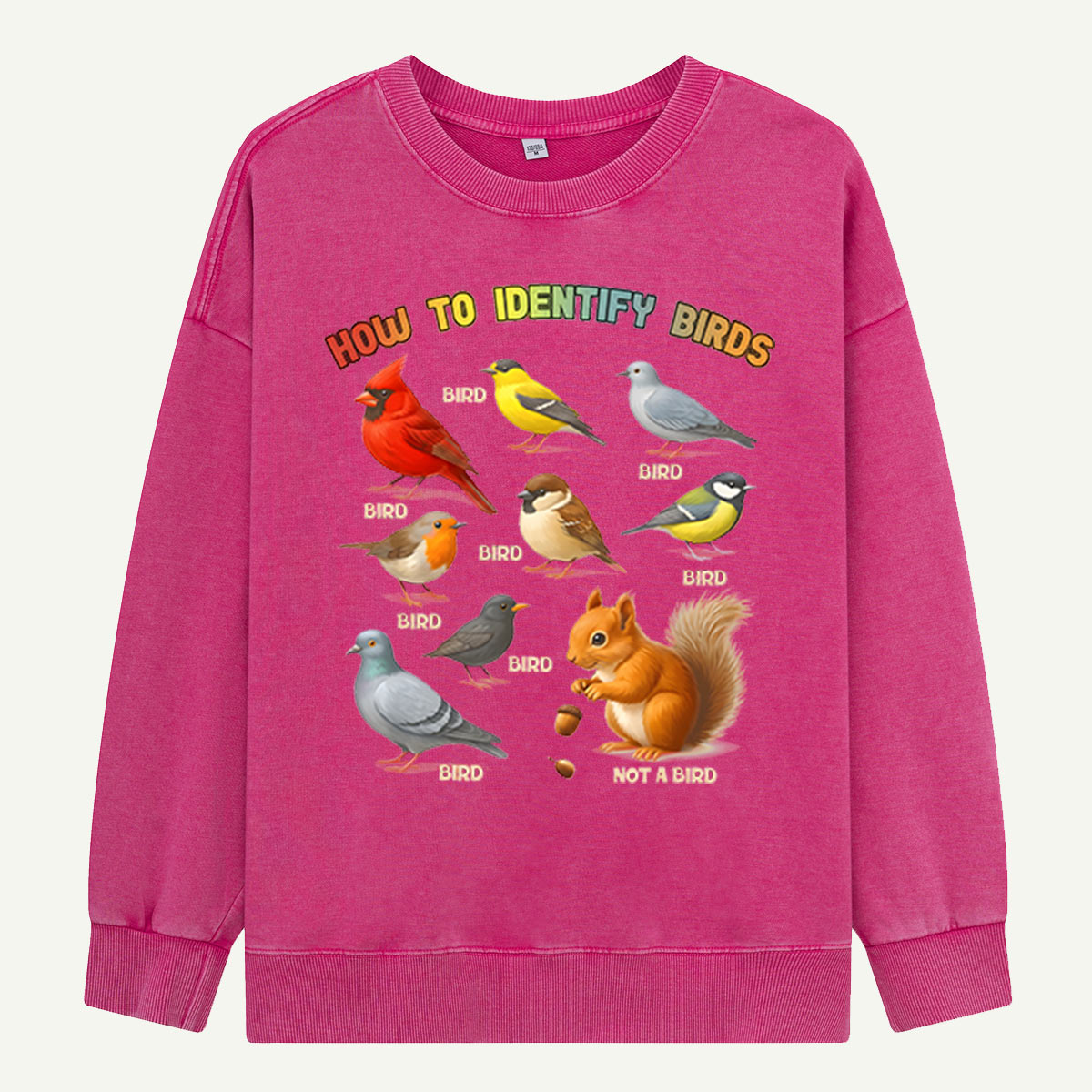 How to Identify Birds Washed Sweatshirts