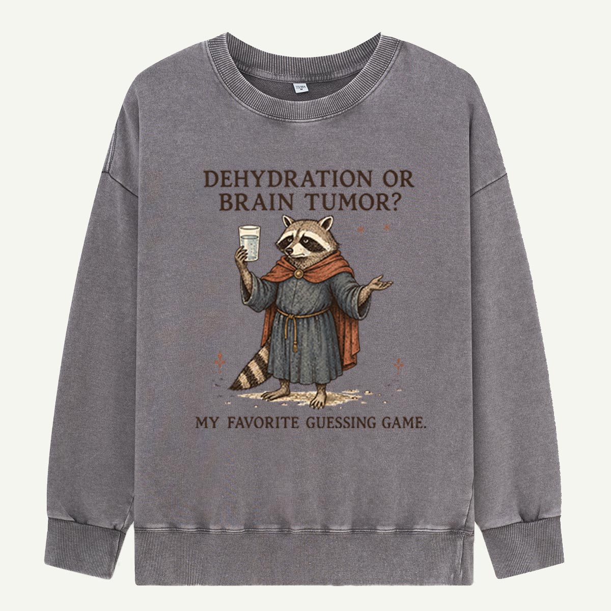 Raccoon’s Questionable Guessing Game Washed Sweatshirts