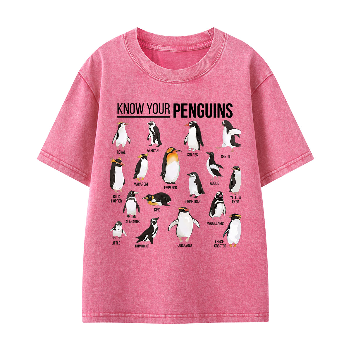 Know Your Penguins Kids Washed T-Shirt