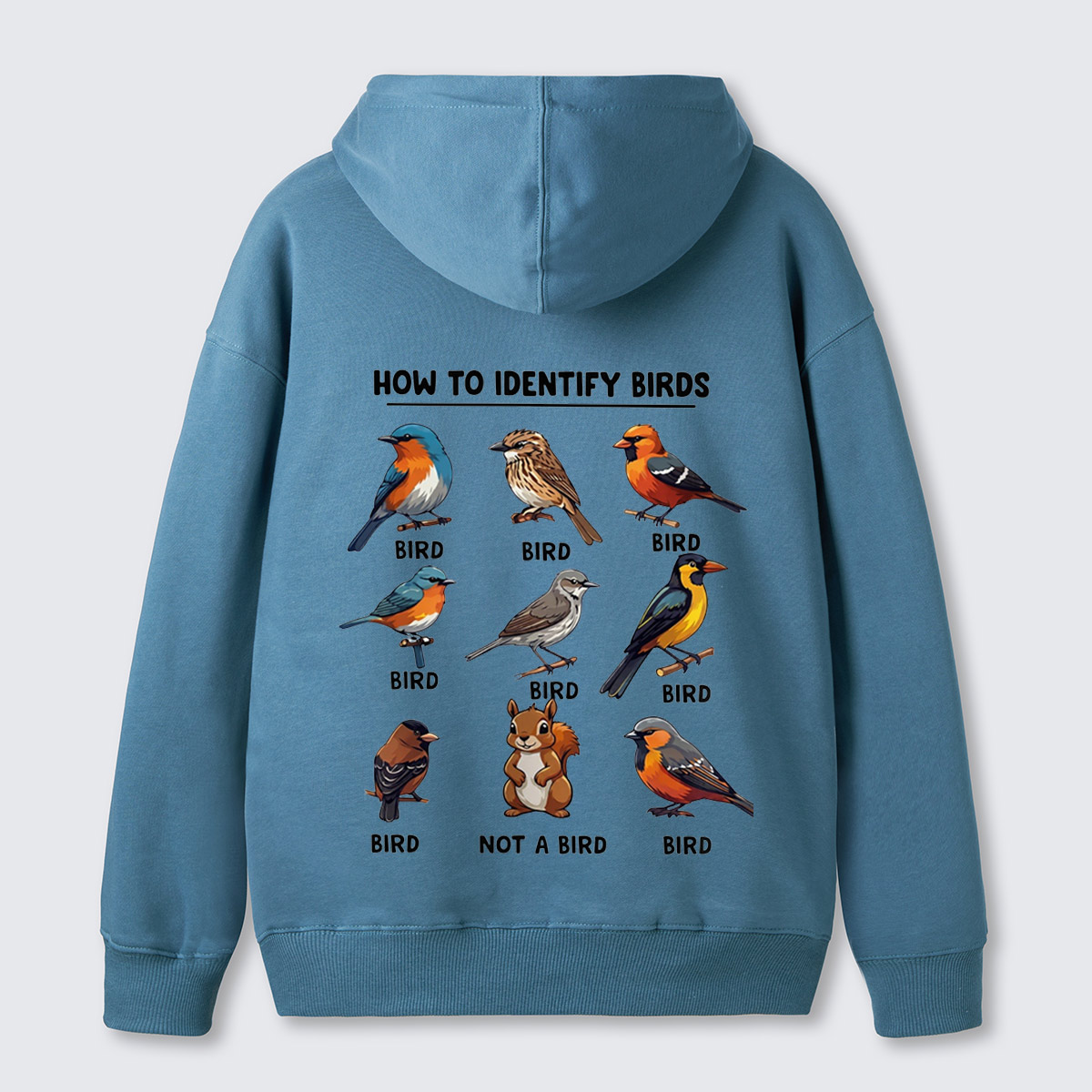 Funny Bird How to Identify Birds Hoodie