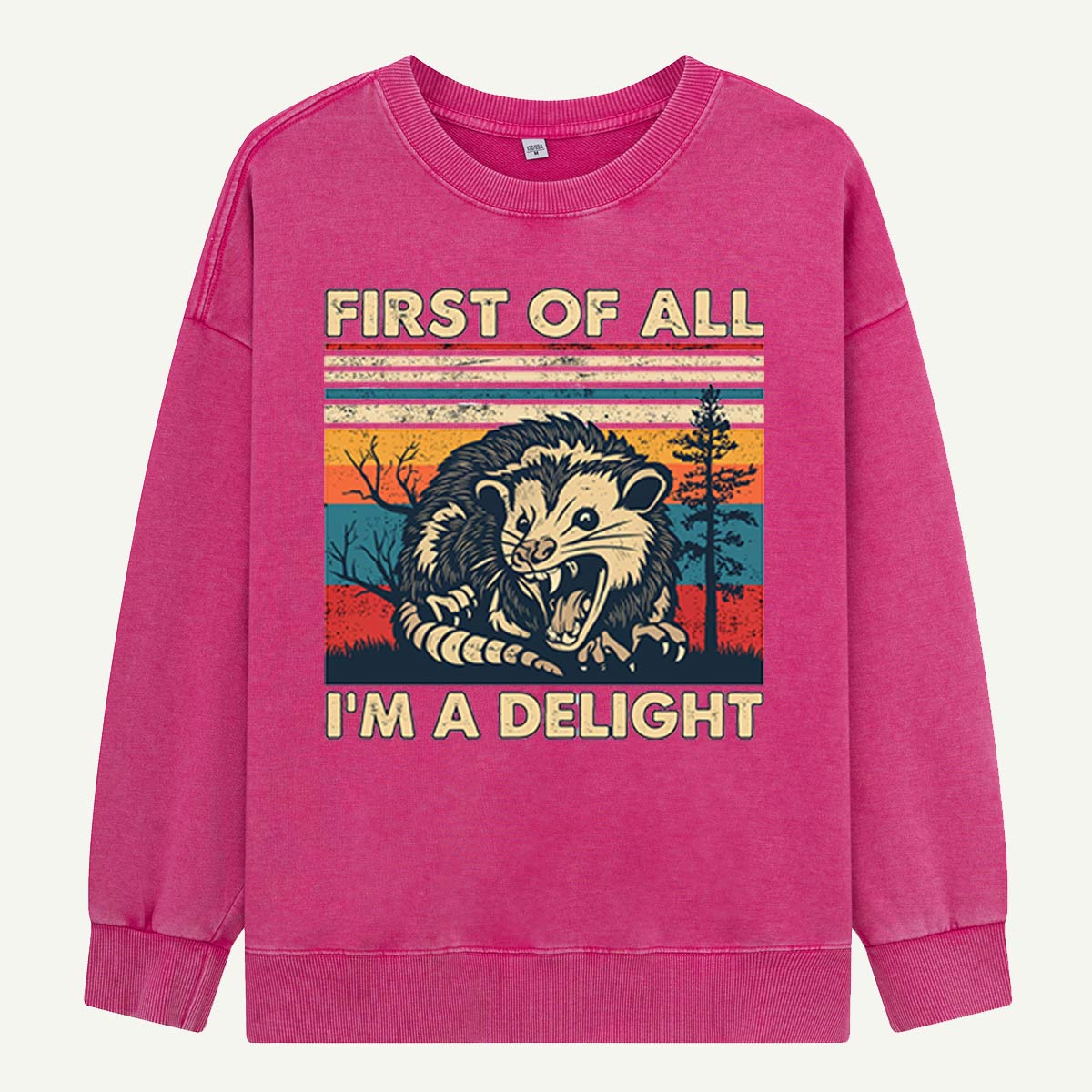 First of All I’m a Delight Opossum  Washed Sweatshirts