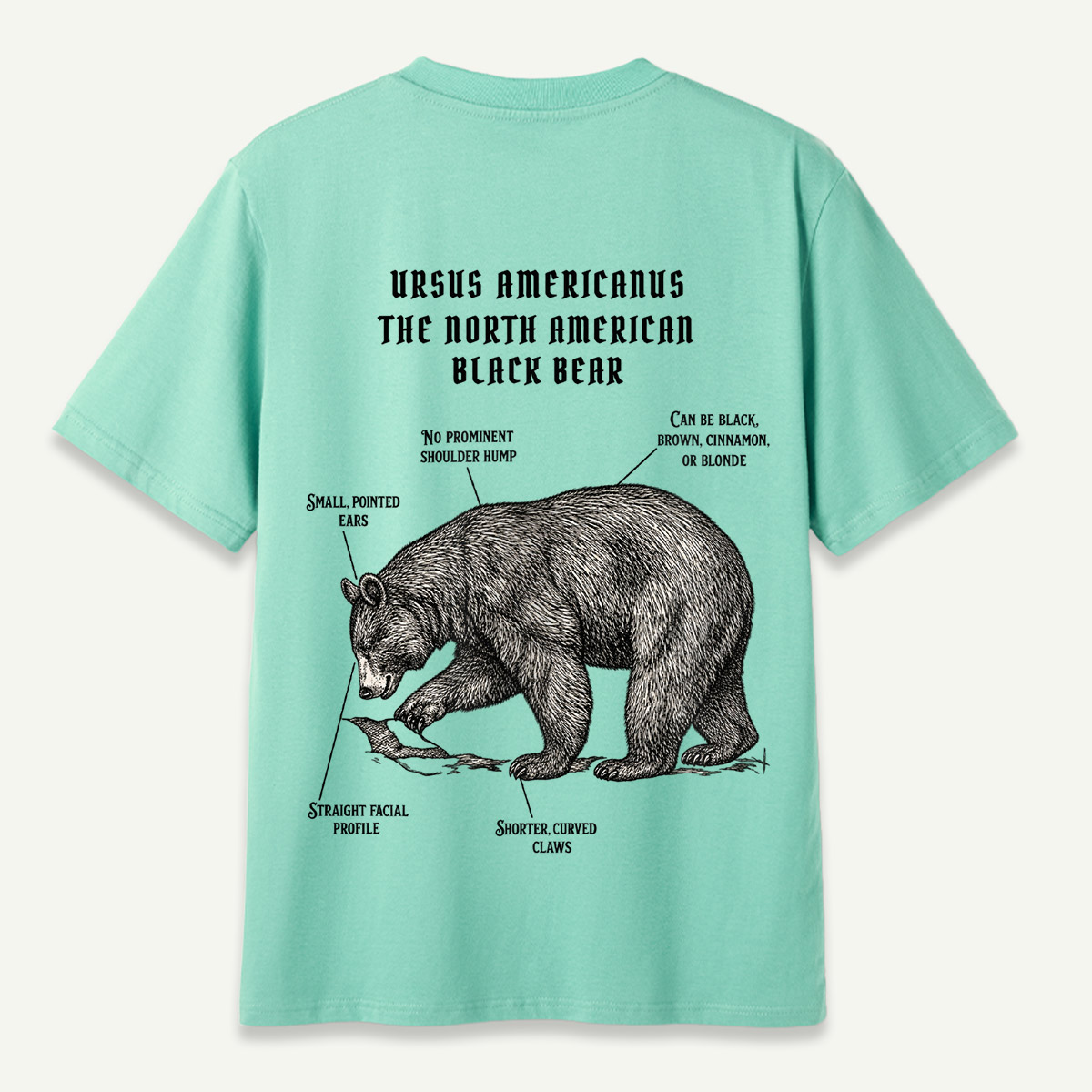 Ursus Americanus North American Black Bear Field Guide T-Shirt
