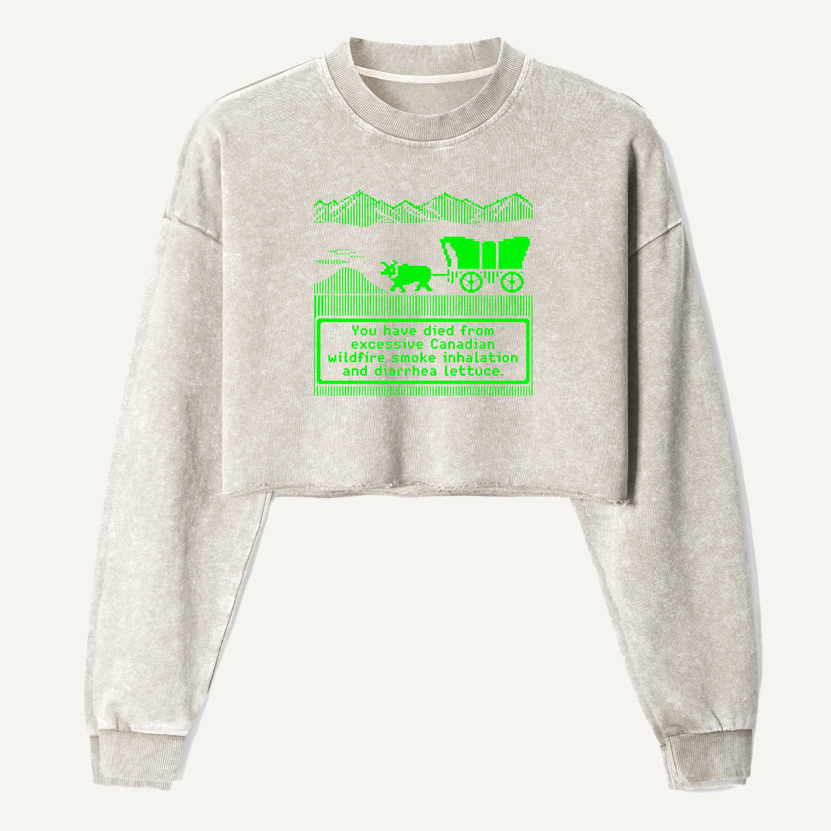 Prehistoric Road Trip Dinosaur Wagon Women's Washed Cropped Sweatshirt