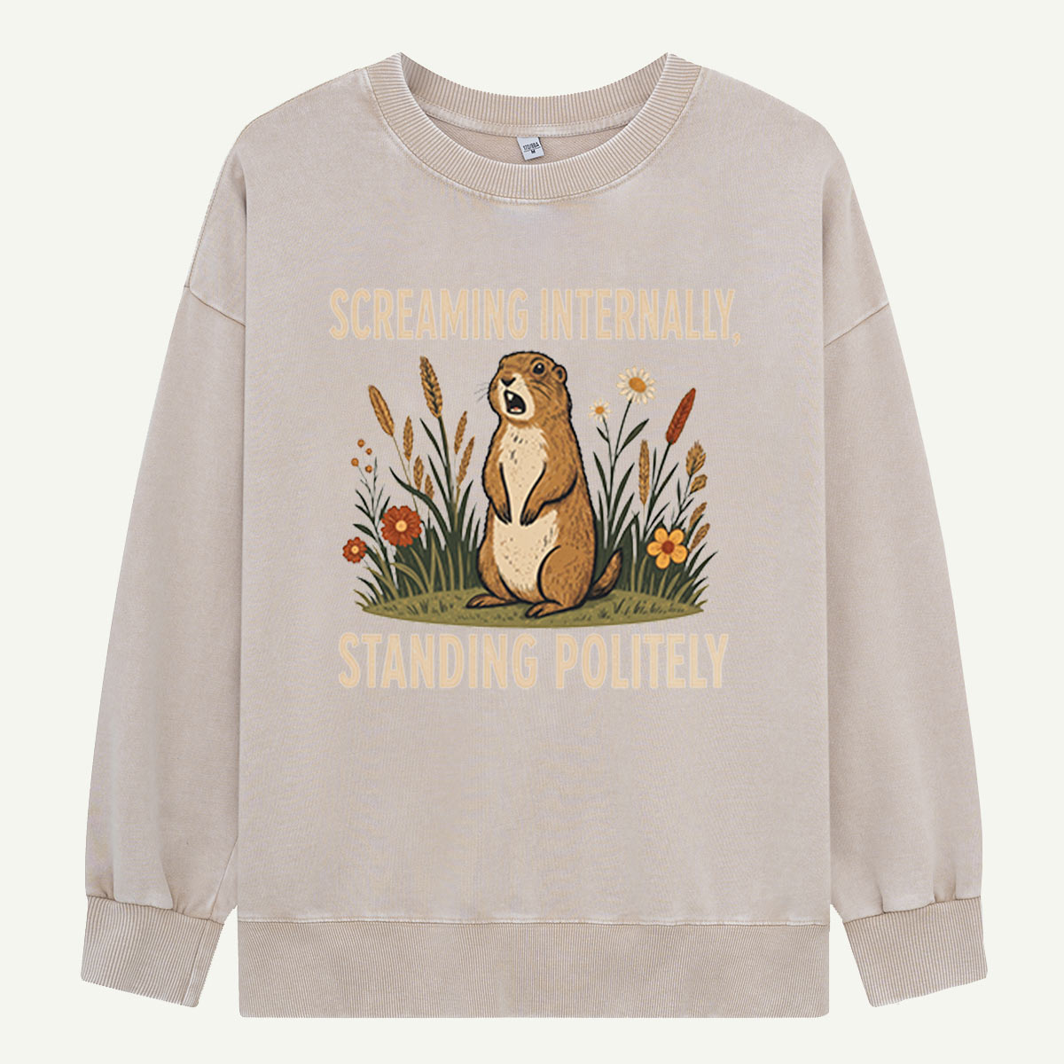 Screaming Internally, Standing Politely Washed Sweatshirts