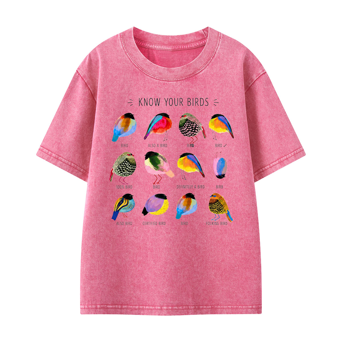 Colorful Bird Guide Kids Washed T-Shirt