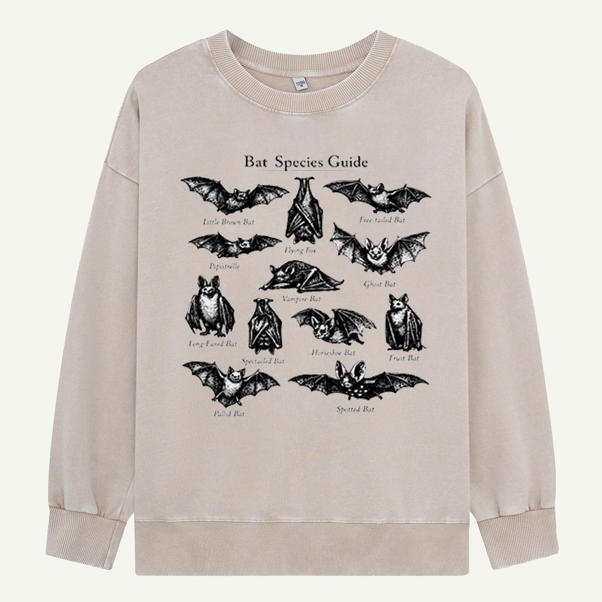 Bat Species Guide Illustration Washed Sweatshirts
