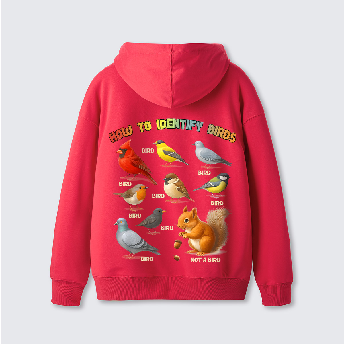 How to Identify Birds Hoodie