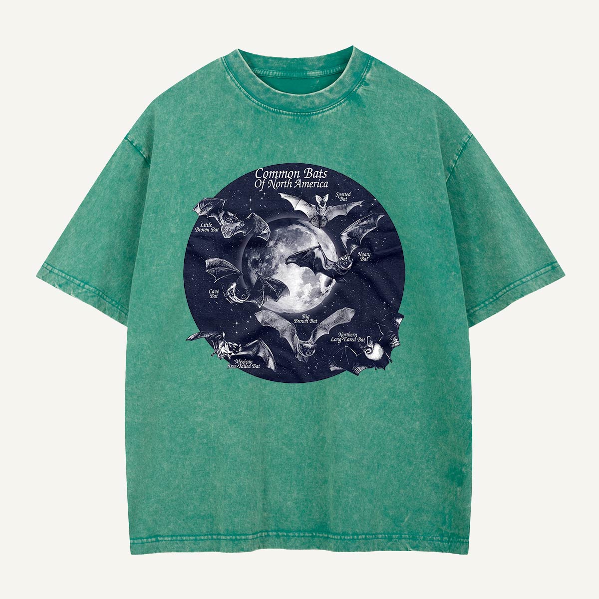 Bats of North America After Dark Washed T-Shirt