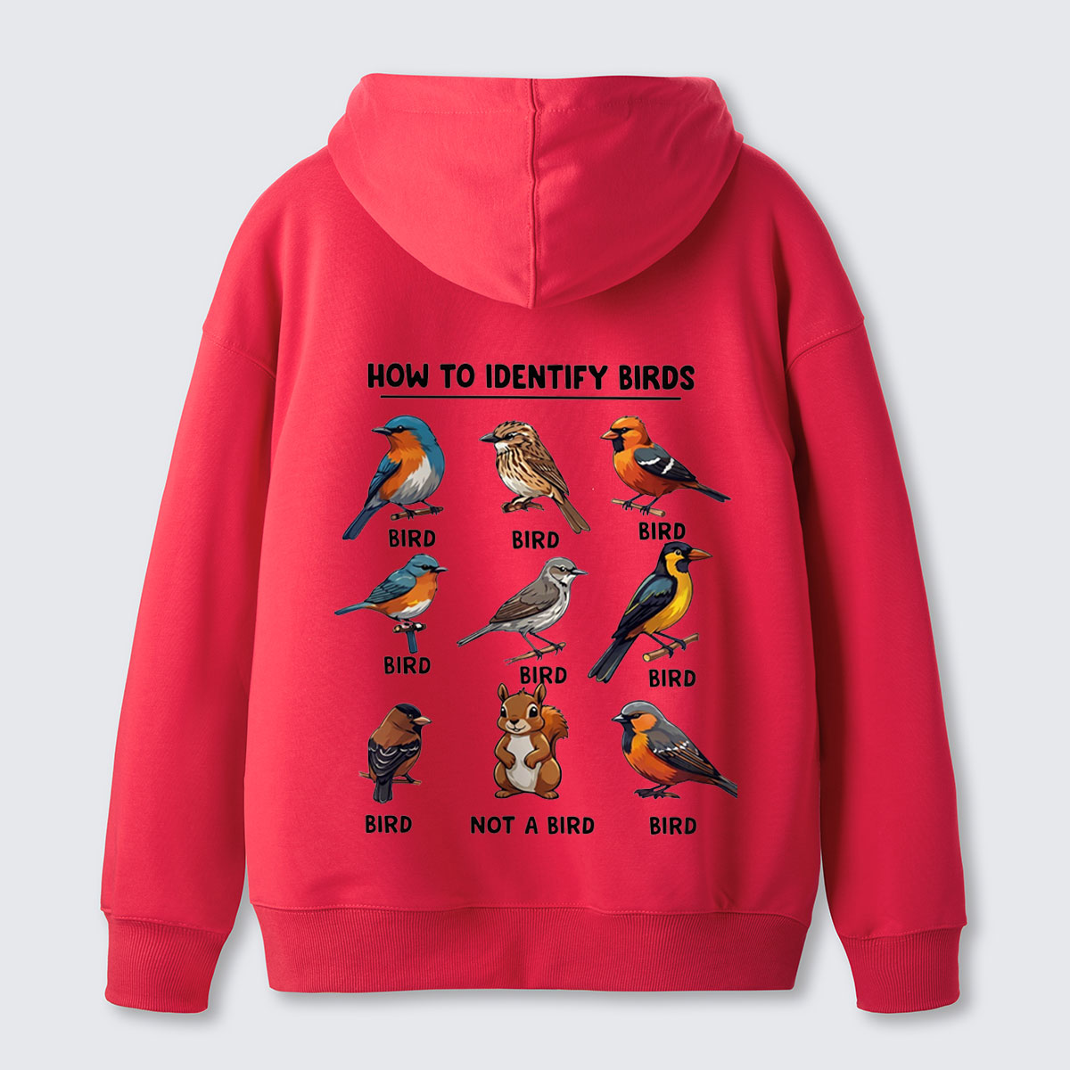 Funny Bird How to Identify Birds Hoodie