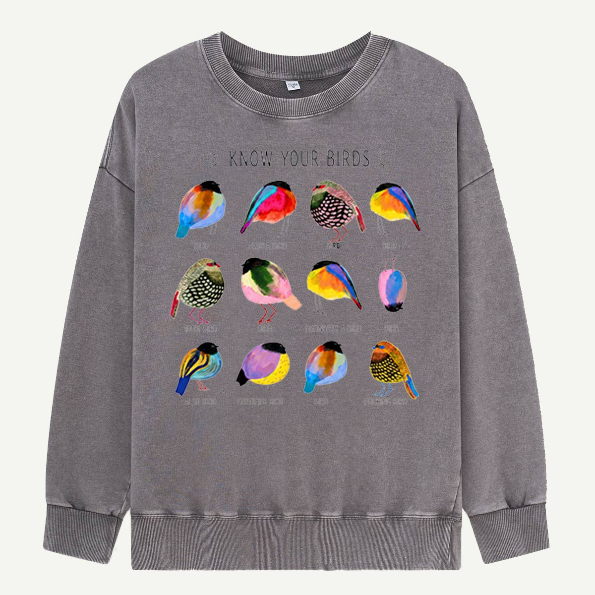 Colorful Bird Guide Washed Sweatshirts