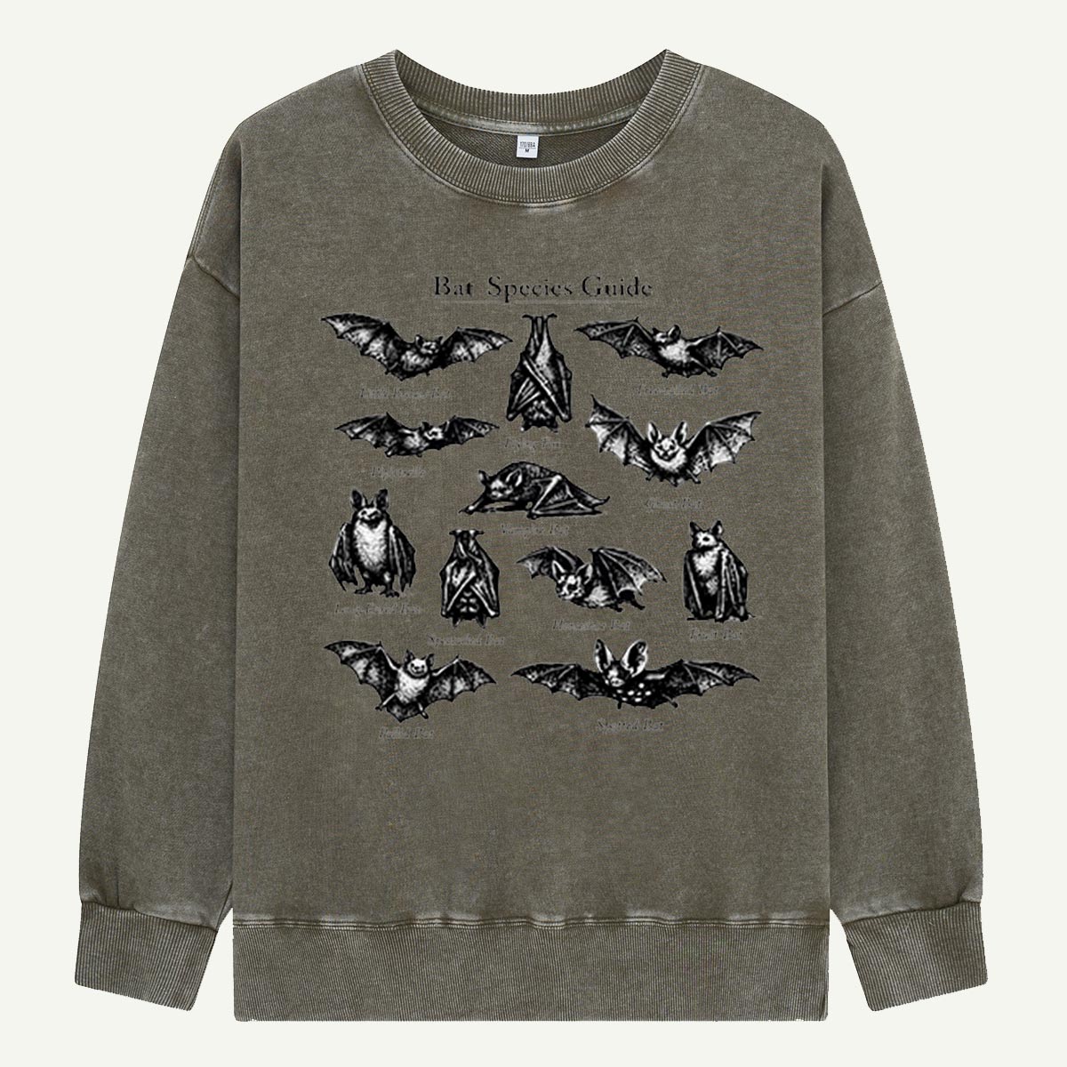 Bat Species Guide Illustration Washed Sweatshirts