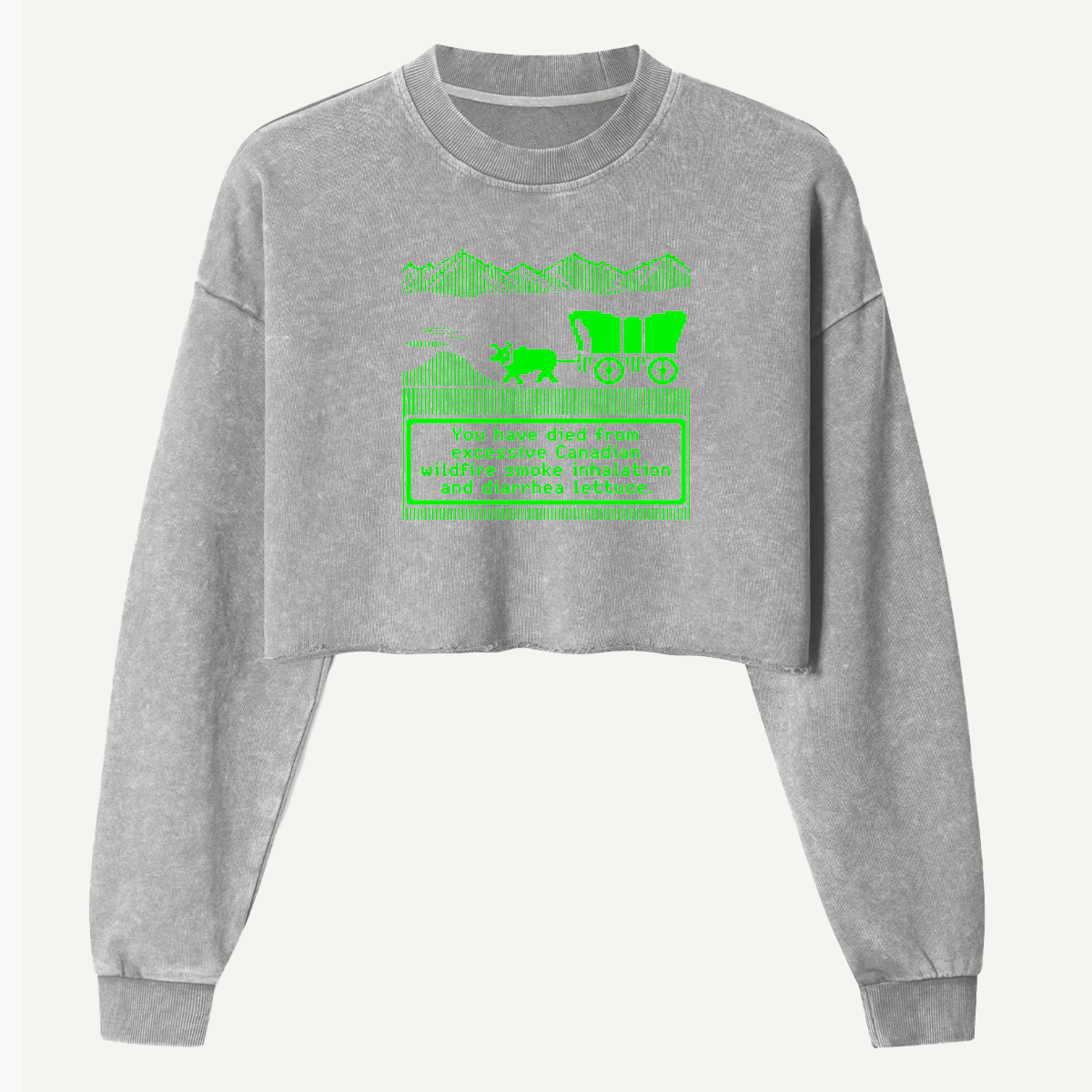 Prehistoric Road Trip Dinosaur Wagon Women's Washed Cropped Sweatshirt