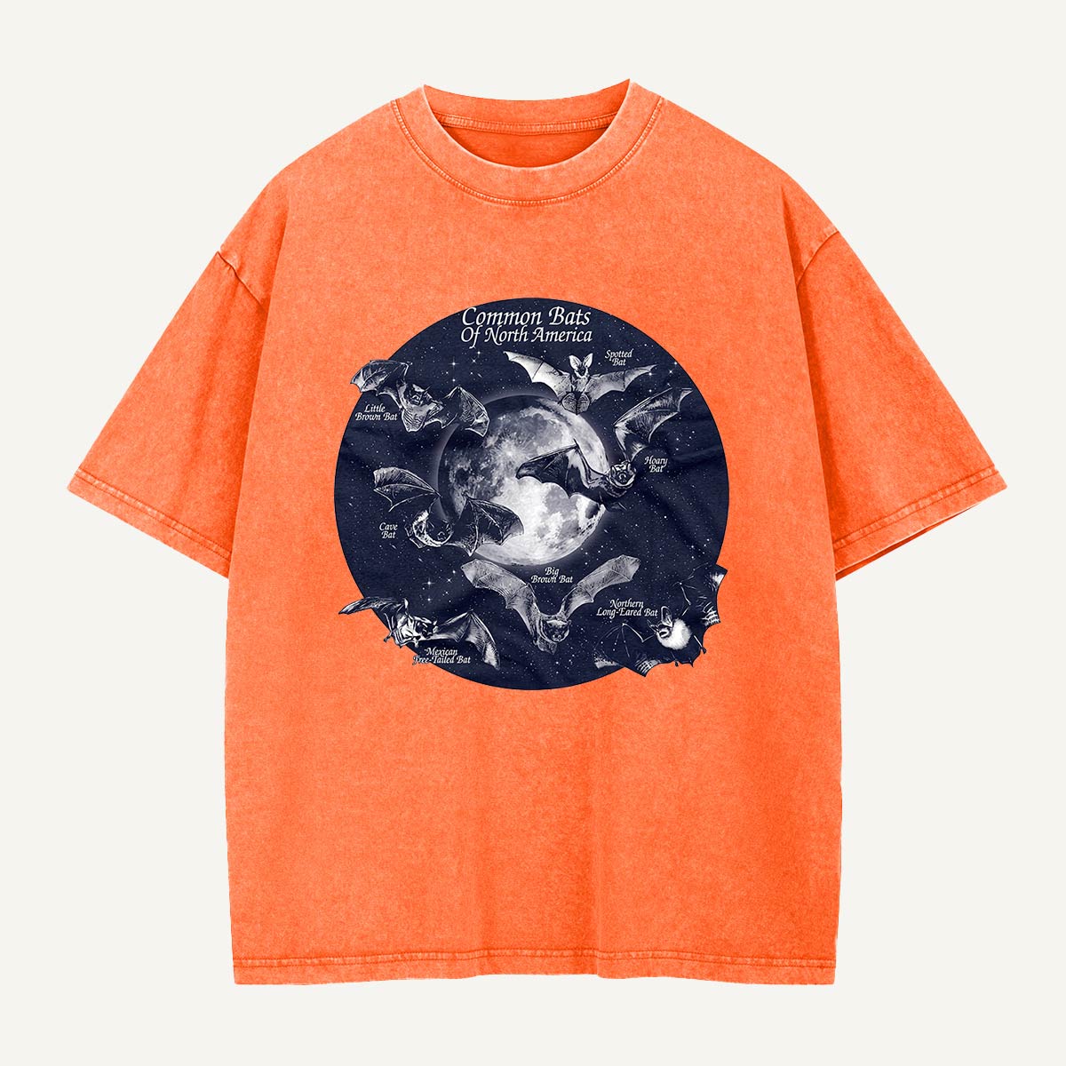 Bats of North America After Dark Washed T-Shirt
