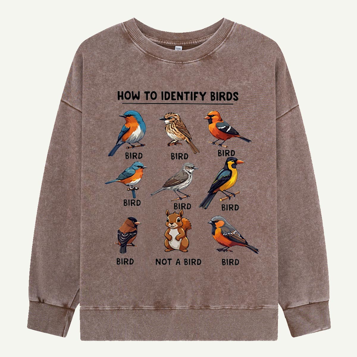 Funny Bird How to Identify Birds Washed Sweatshirts