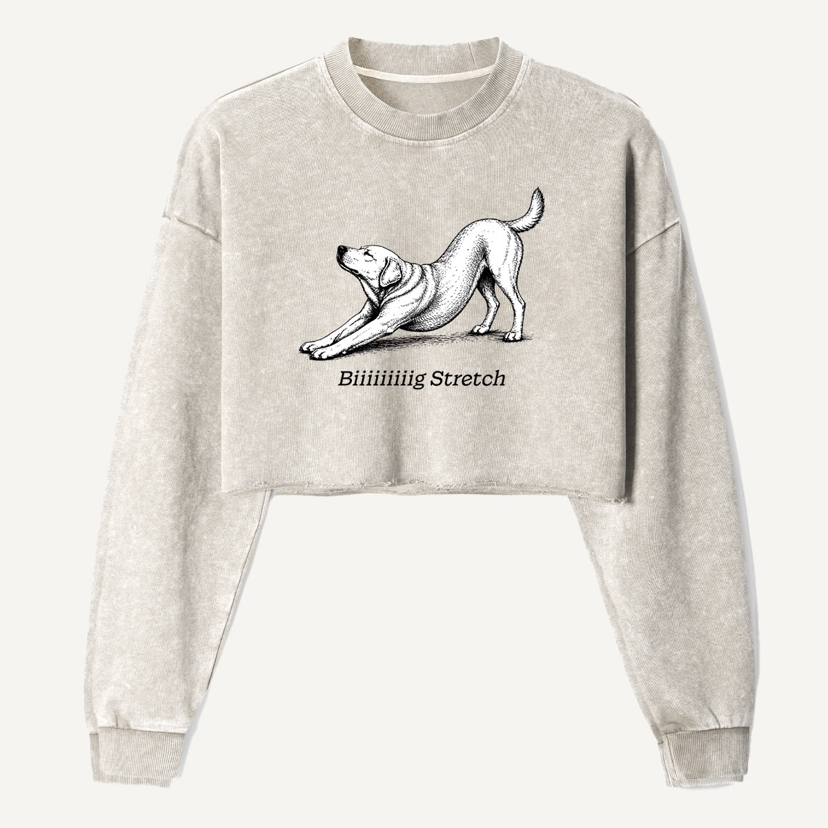 Downward Dog Stretching Hound Women's Washed Cropped Sweatshirt