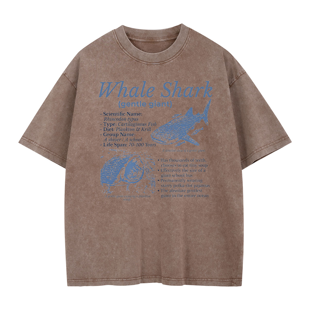 Meet the Gentle Giant Whale Shark Washed T-Shirt