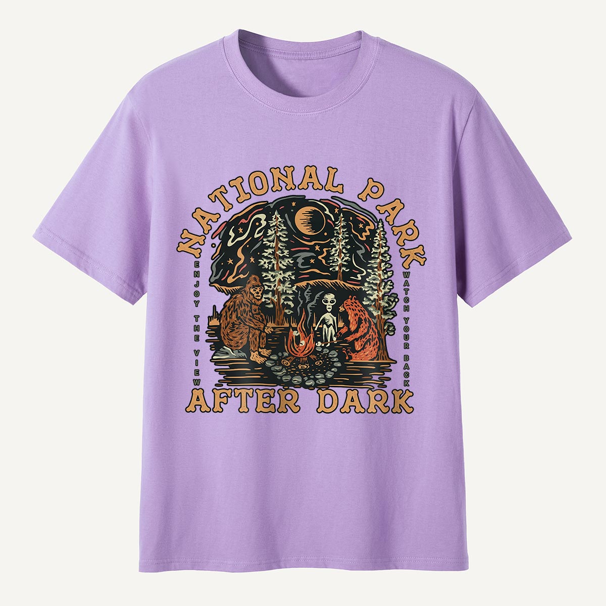National Park After Dark Campfire Night T-Shirt