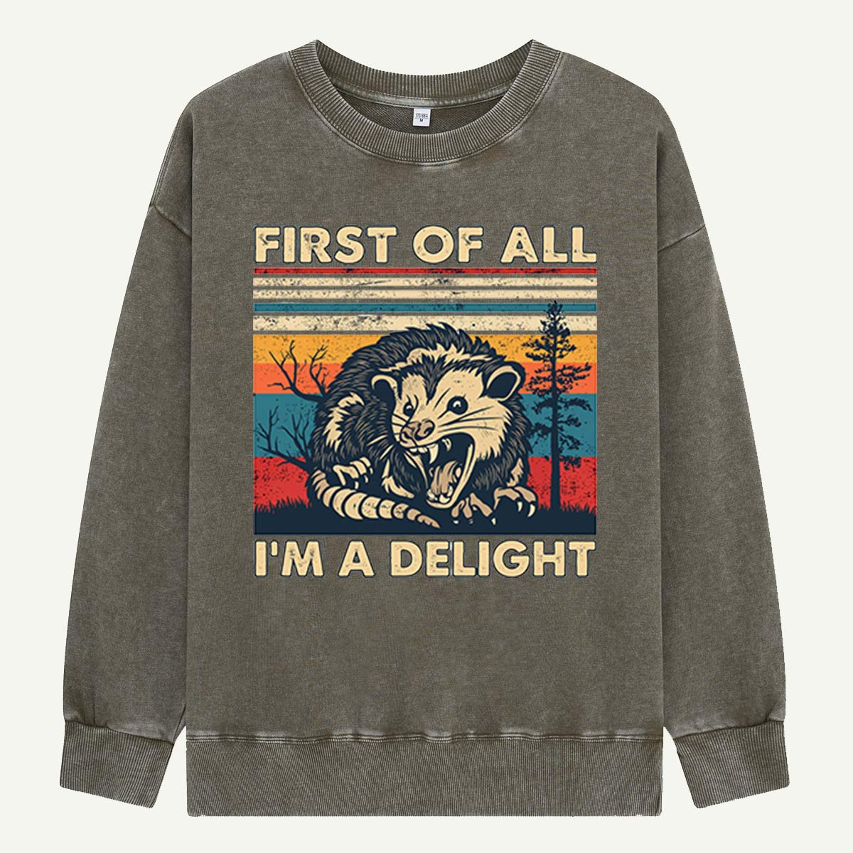 First of All I’m a Delight Opossum  Washed Sweatshirts