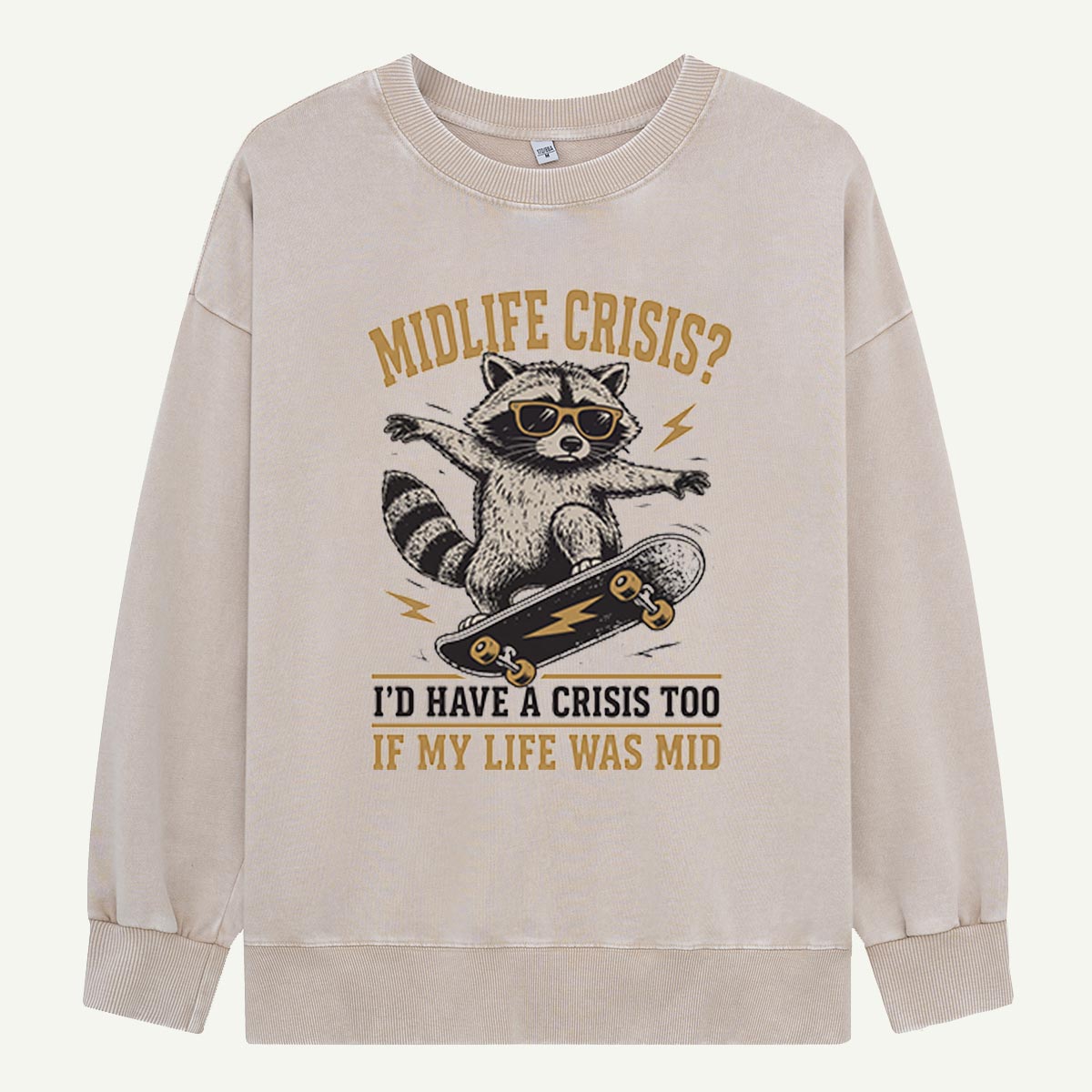 Raccoon Midlife Crisis Ride Washed Sweatshirts