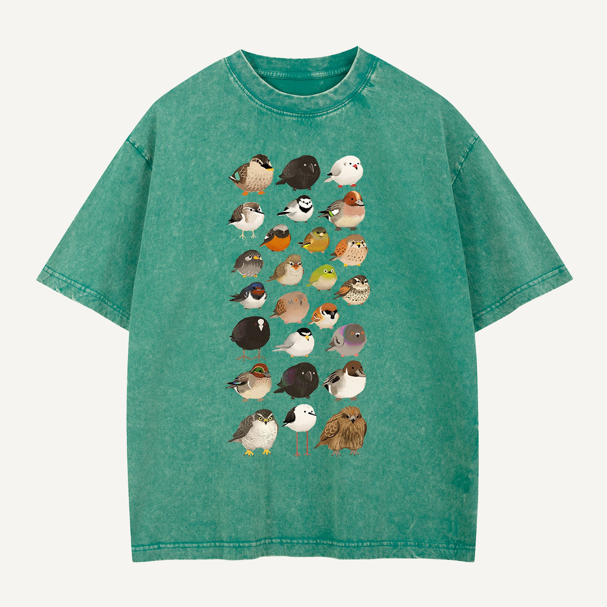 Bird Species Illustration Washed T-Shirt