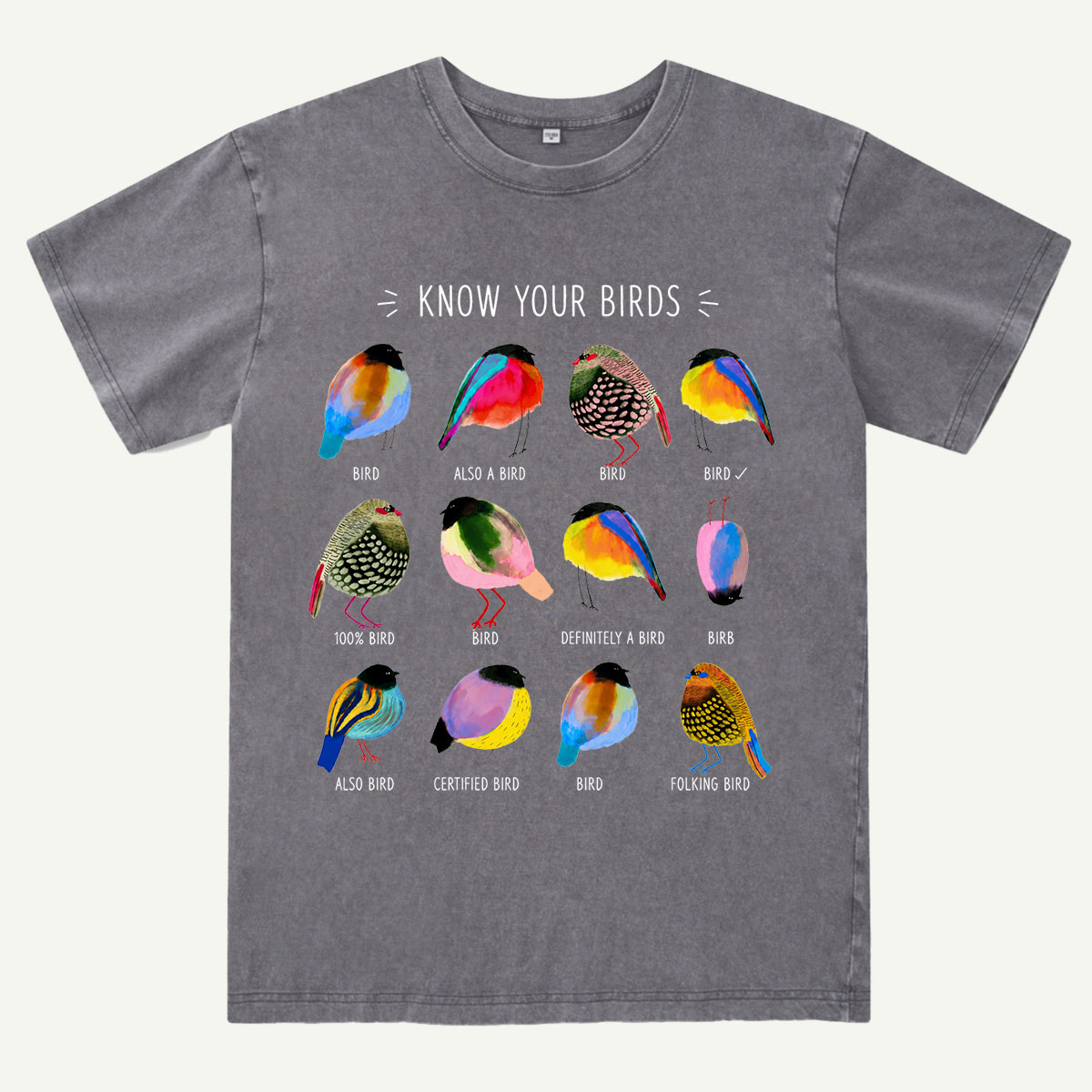 Colorful Bird Guide Washed T-Shirt